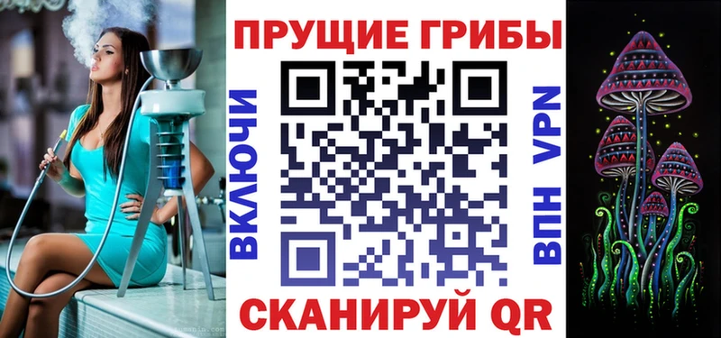 KRAKEN зеркало  закладки  Заозёрск  Галлюциногенные грибы ЛСД 